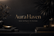 AuraHaven dark cover